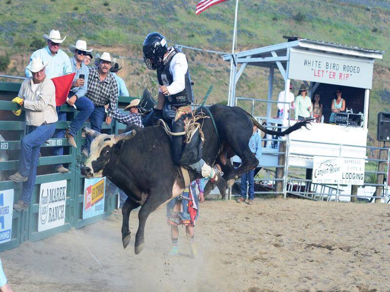 White Bird Days Rodeo Visit North Central Idaho