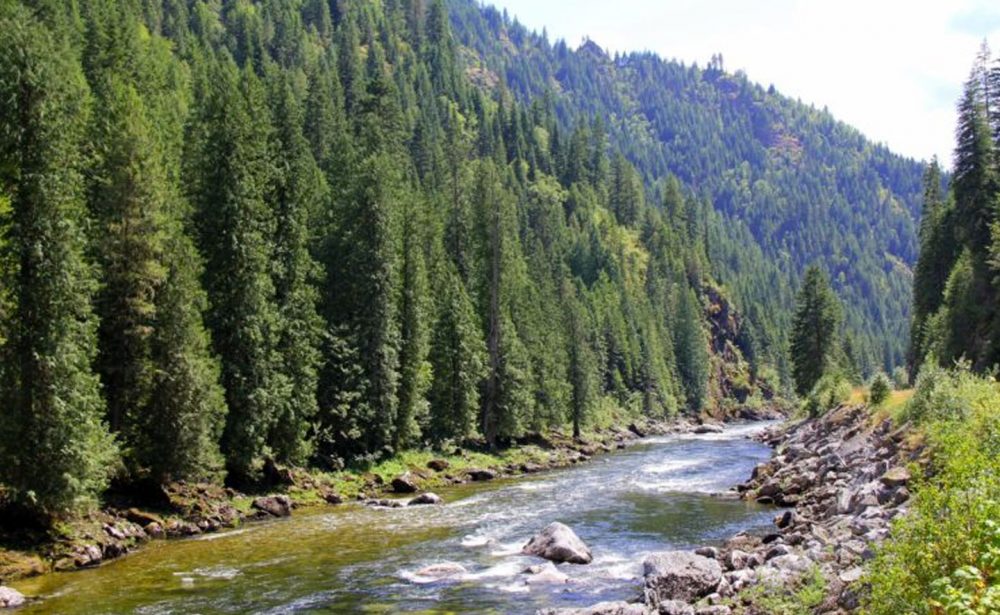 Clearwater National Forest - Visit North Central Idaho