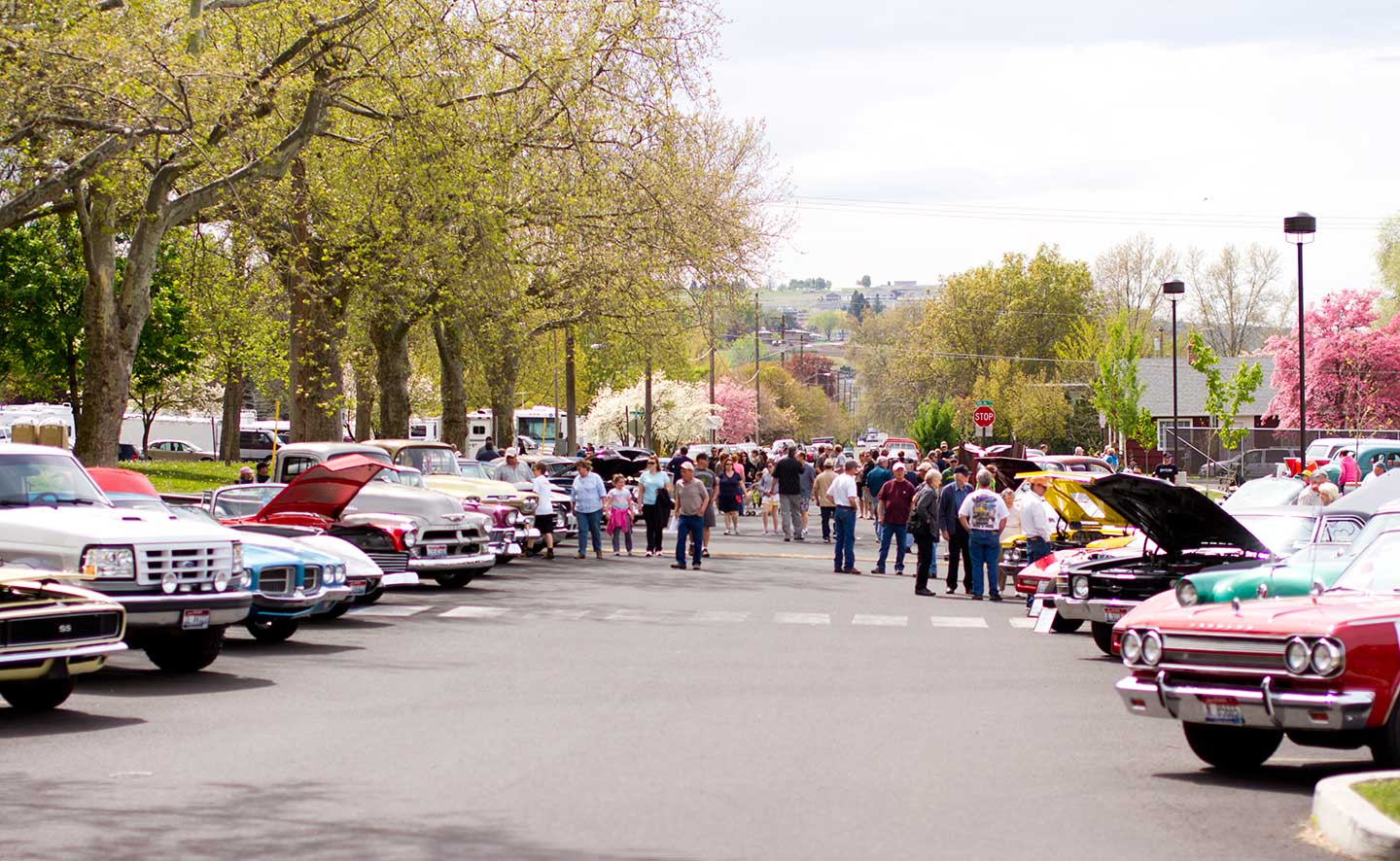 dogwood-festival-lewiston-idaho - Visit North Central Idaho