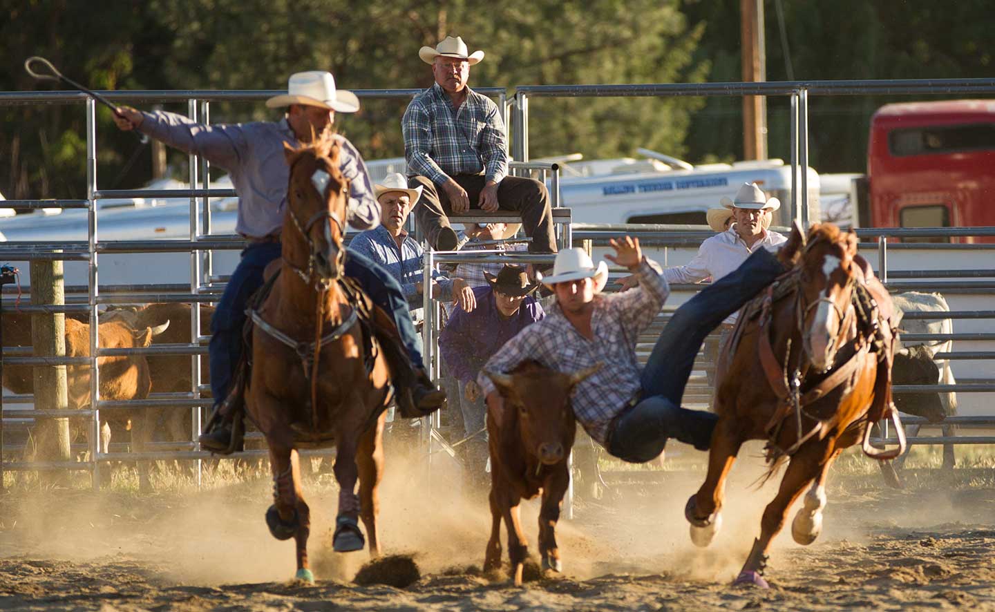 Wild Weippe Days & Rodeo Visit North Central Idaho